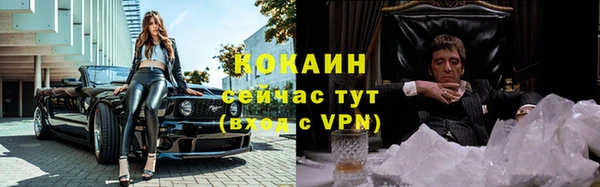 хмурый Инсар