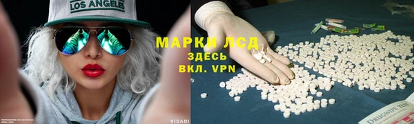 apvp Инта