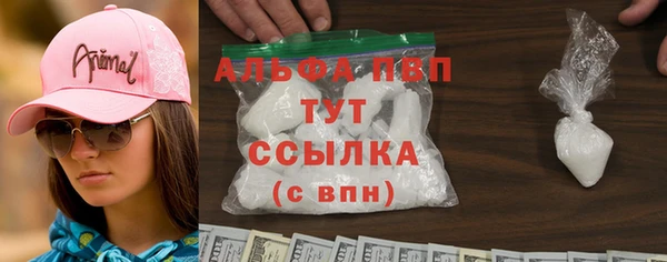 apvp Инта
