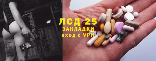 хмурый Инсар