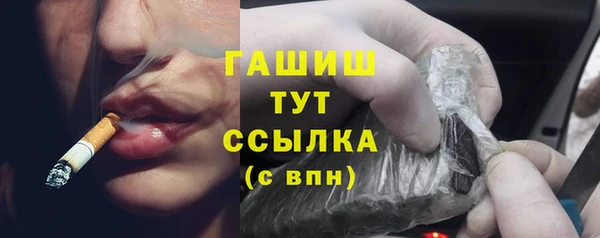 apvp Инта