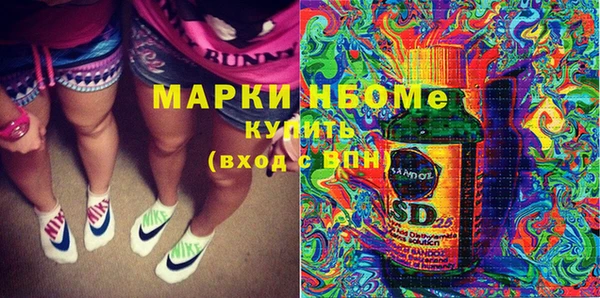 хмурый Инсар