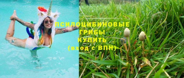 apvp Инта