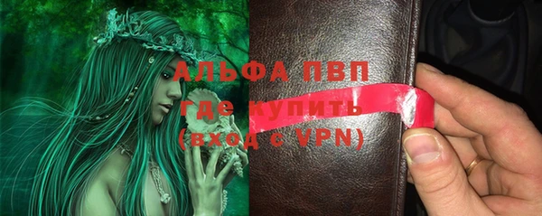 apvp Инта