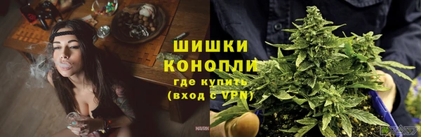 крисы Иннополис