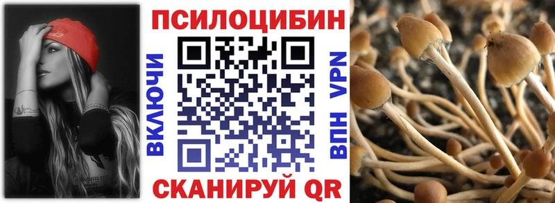 Псилоцибиновые грибы GOLDEN TEACHER  Сухиничи 